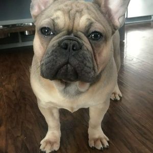 Meet your Posher, Justin